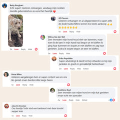 SniffPaws® Steami Pro - Brosse professionnelle pour le soin du pelage des animaux domestiques