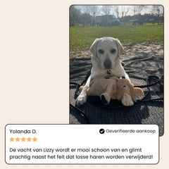 SniffPaws® Steami Pro - Brosse professionnelle pour le soin du pelage des animaux domestiques