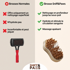 Brosse à vapeur | Brosse à vapeur rafraîchissante - Pour chats et chiensw