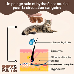 Brosse à vapeur | Brosse à vapeur rafraîchissante - Pour chats et chiensw